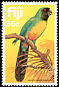 Masked Shining Parrot Prosopeia personata  1983 Parrots 