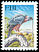 Fiji Goshawk Accipiter rufitorques  1995 Birds 
