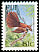 Kadavu Fantail Rhipidura personata  1995 Birds 