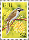 Black-throated Shrikebill Clytorhynchus nigrogularis  1997 Singpex 97  MS