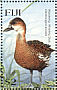 Wandering Whistling Duck Dendrocygna arcuata  1999 IBRA 99 Sheet