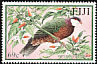 Metallic Pigeon Columba vitiensis  2001 Pigeons of Fiji 