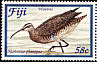 Eurasian Whimbrel Numenius phaeopus  2004 Visiting shorebirds to Fiji 