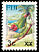 Fiji Parrotfinch Erythrura pealii