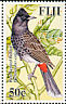 Red-vented Bulbul Pycnonotus cafer  2007 Exotic birds 