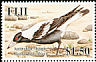 Australian Magpie Gymnorhina tibicen  2007 Exotic birds 