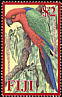 Crimson Shining Parrot Prosopeia splendens  2008 Red-breasted Musk Parrot 