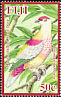 Many-colored Fruit Dove Ptilinopus perousii  2009 Doves 