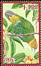 Whistling Fruit Dove Ptilinopus layardi  2009 Doves 