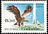 Golden Eagle Aquila chrysaetos  1970 Nature conservation year 