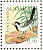 White Wagtail Motacilla alba  1992 Birds Booklet