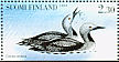 Black-throated Loon Gavia arctica  1993 Water birds Booklet