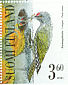 Grey-headed Woodpecker Picus canus  2001 Woodpeckers Sheet