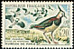 Northern Lapwing Vanellus vanellus