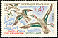 Eurasian Teal Anas crecca  1960 Bird migration 