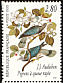 Band-tailed Pigeon Patagioenas fasciata  1995 Audubon p 12¾x12¼
