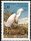 Snowy Egret Egretta thula  1995 Audubon p 12¾x12¼