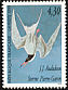 Common Tern Sterna hirundo  1995 Audubon p 12¾x12¼