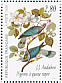 Band-tailed Pigeon Patagioenas fasciata  1995 Audubon Sheet, p 13¼