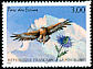 Golden Eagle Aquila chrysaetos  1997 National parks: Ecrins, Port Cros 