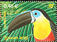 Channel-billed Toucan Ramphastos vitellinus