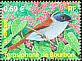 Mascarene Paradise Flycatcher Terpsiphone bourbonnensis