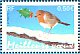 European Robin Erithacus rubecula  2003 Greetings 