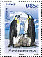 Emperor Penguin Aptenodytes forsteri  2009 Preserve the polar regions Sheet