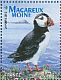 Atlantic Puffin Fratercula arctica