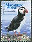 Atlantic Puffin Fratercula arctica