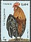 Red Junglefowl Gallus gallus