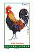 Red Junglefowl Gallus gallus  2016 French cocks 12v booklet, sa