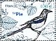 Eurasian Magpie Pica pica  2018 Birds of our gardens Sheet