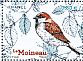 House Sparrow Passer domesticus  2018 Birds of our gardens Sheet