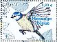 Eurasian Blue Tit Cyanistes caeruleus  2018 Birds of our gardens Sheet