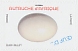 Common Ostrich Struthio camelus  2020 Eggs Booklet, sa