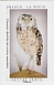 Burrowing Owl Athene cunicularia  2020 Curiosities 12v booklet, sa