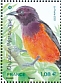 Martinique Oriole Icterus bonana  2021 Birds of the islands Sheet
