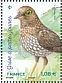 Forest Thrush Turdus lherminieri  2021 Birds of the islands Sheet