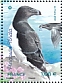 Razorbill Alca torda  2021 Birds of the islands Sheet
