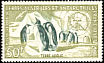 Emperor Penguin Aptenodytes forsteri