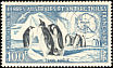 Emperor Penguin Aptenodytes forsteri