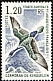 Kerguelen Shag Leucocarbo verrucosus  1976 Definitives 