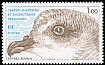 Soft-plumaged Petrel Pterodroma mollis  1980 Antarctic fauna 