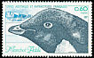 Adelie Penguin Pygoscelis adeliae