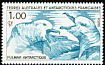 Southern Fulmar Fulmarus glacialoides  1986 Birds 