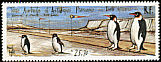 Adelie Penguin Pygoscelis adeliae