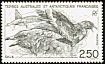 Brown Skua Stercorarius antarcticus  1993 Commemoratives 