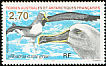 Grey-headed Albatross Thalassarche chrysostoma