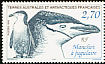 Chinstrap Penguin Pygoscelis antarcticus  1999 Chinstrap Penguin 